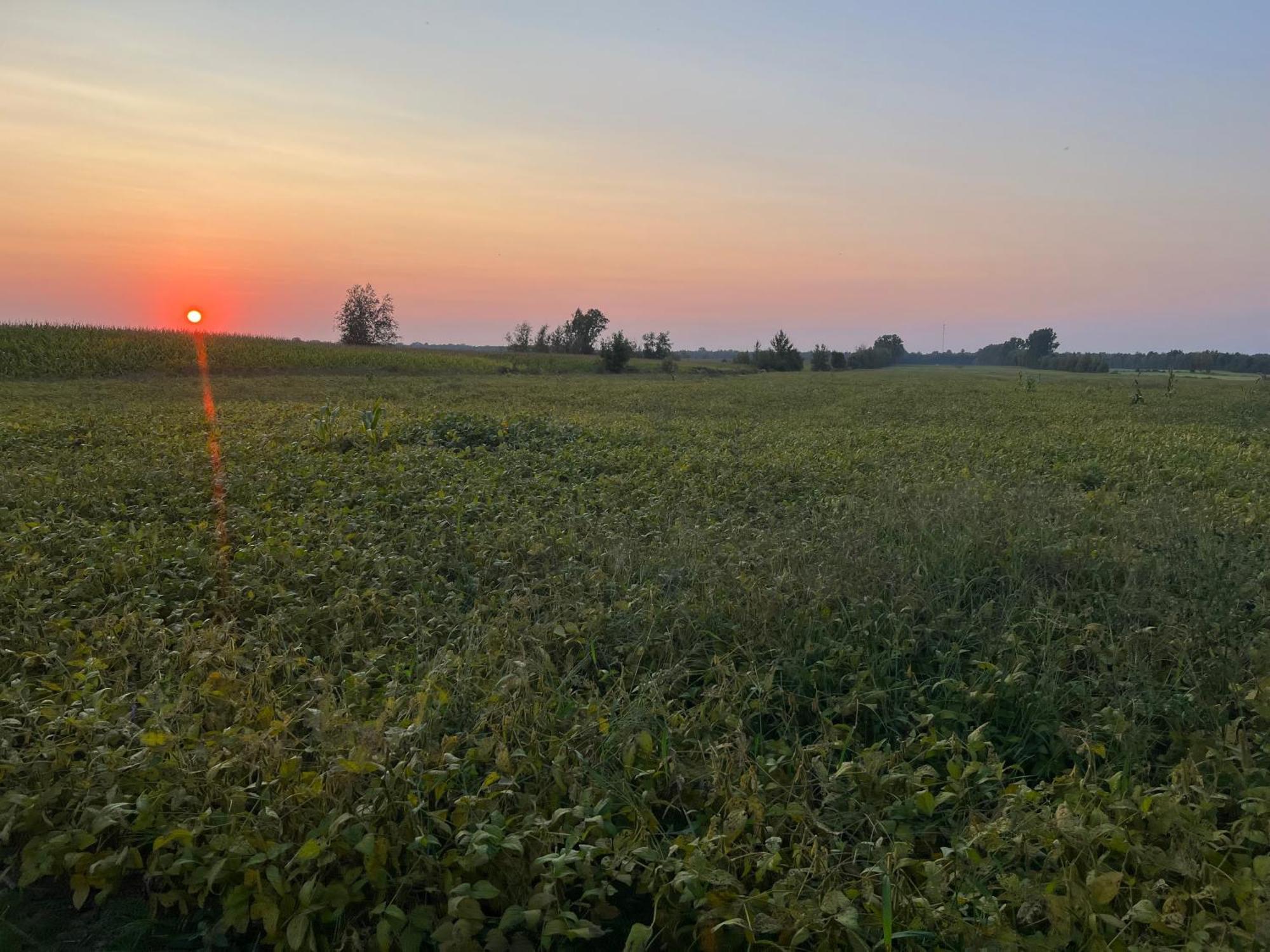 La Ruee Vers L'Orge Apartamento Trois-Rivières Exterior foto